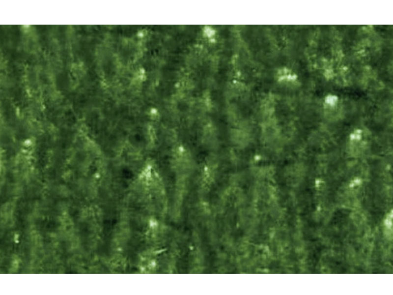 Флексопечать-Дефекты пятнистого изображения